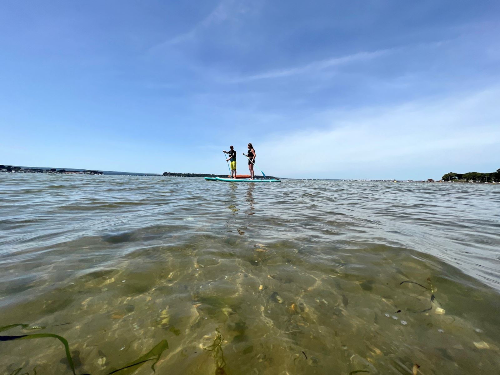 Two stand up paddleboarders in Poole harbour 
